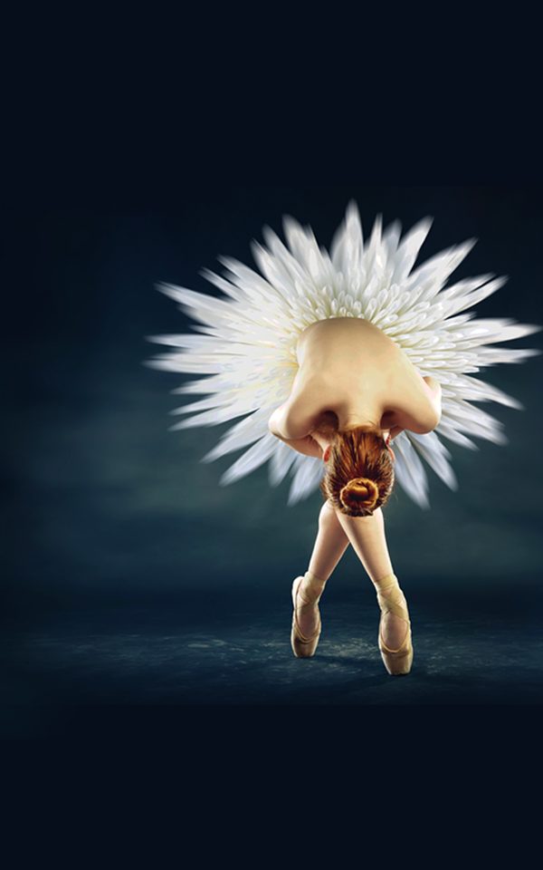 E Commerce Striped Giraffe