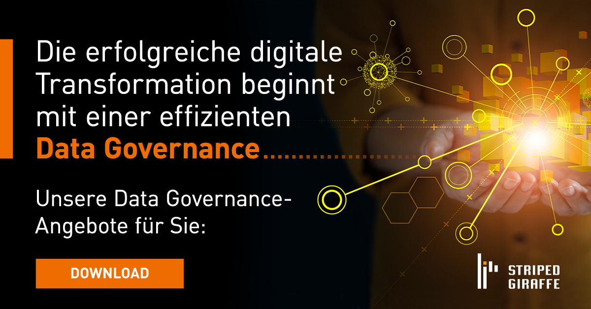 data governance, frame work