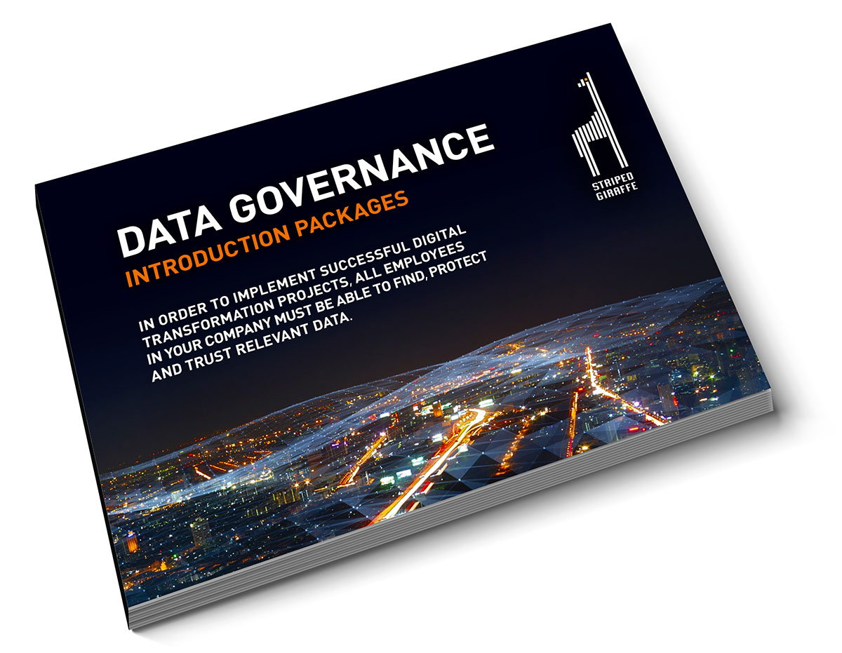 Data Governance,framework
