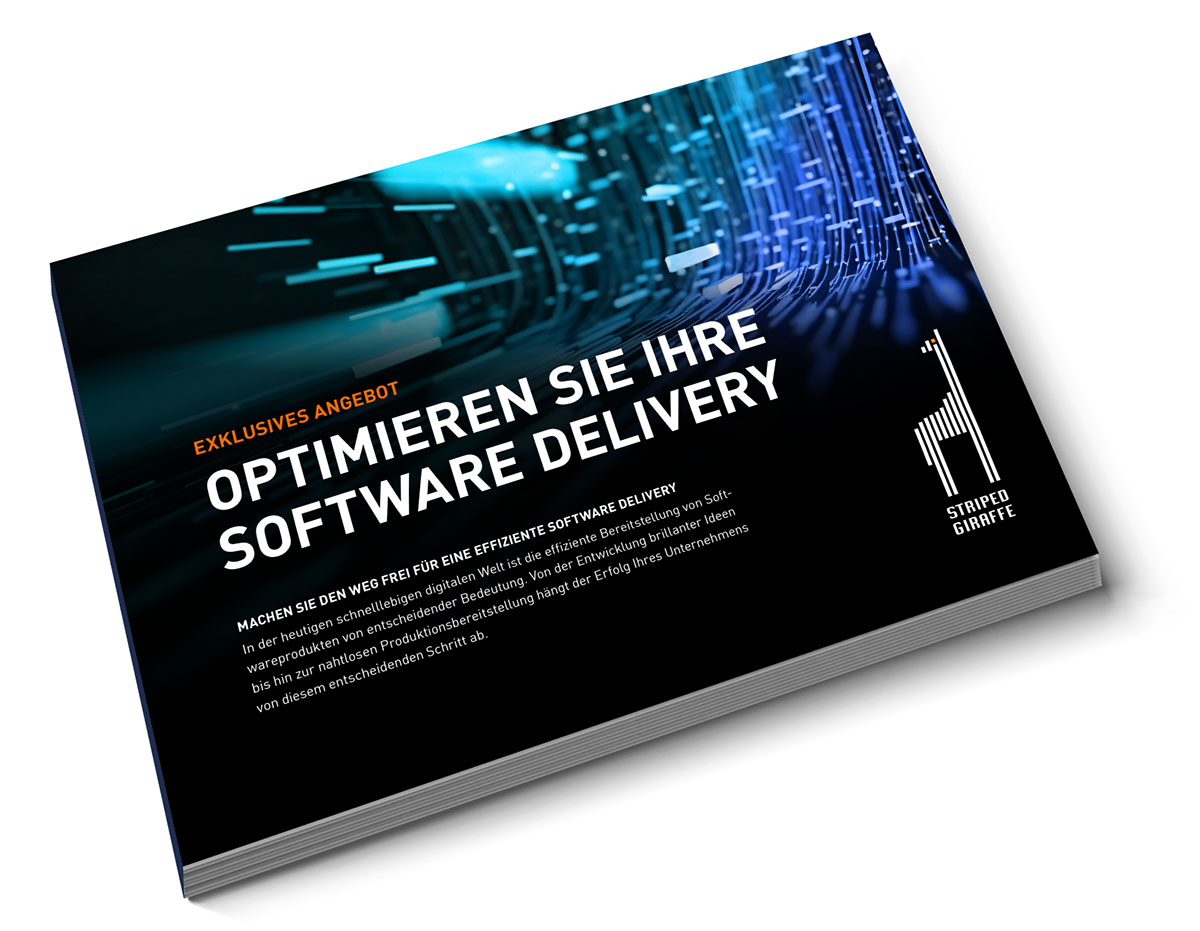 Angebot_Software-Delivery-Optimierung Software Deliver Optimierung, SDLC