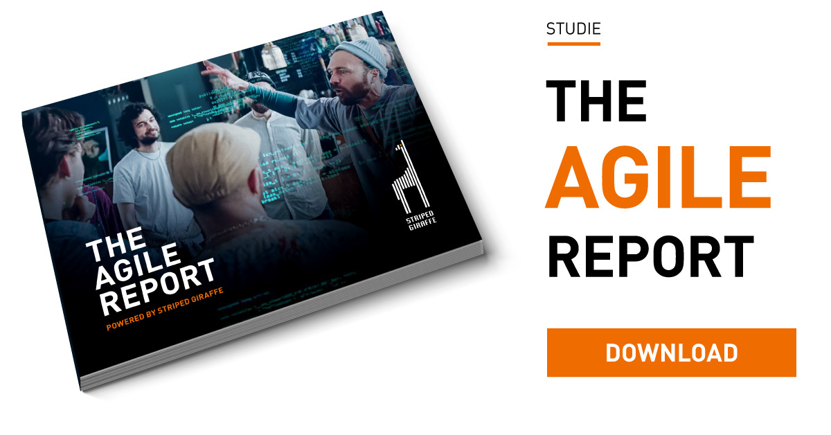 The Agile Report
