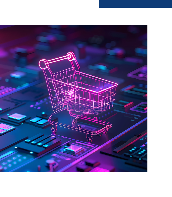 B2B E-Commerce B2B E-Commerce