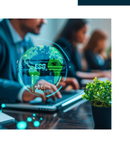 ESG Framework Reporting