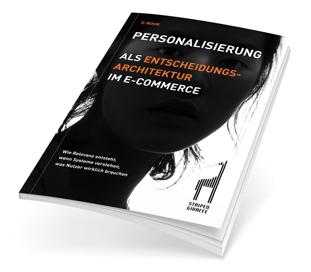 E-Book Personalisierung als Entscheidungsarchitektur im E-Commerce