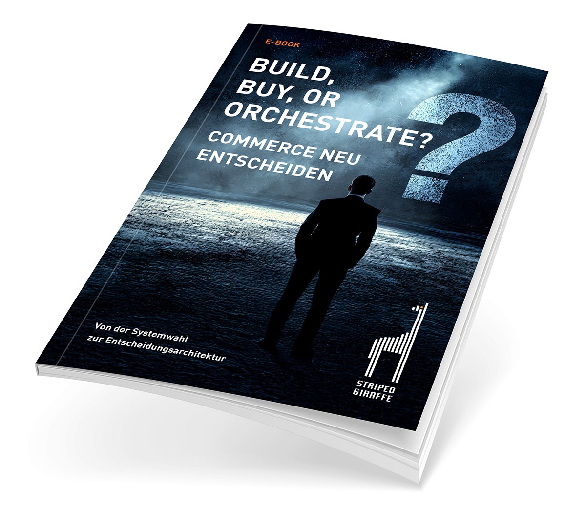 E-Book: Commerce neu entscheiden